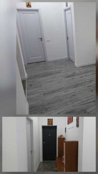 Magurele, granita cu sector 5, Rahova,